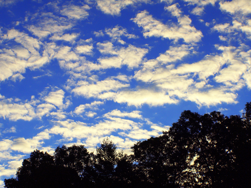 Day 258: Morning Clouds by sheilalorson