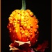 Knucklehead Pumpkin by paintdipper