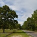 Country road, oak tree and rural cemetery, Berkeley County, SC by congaree