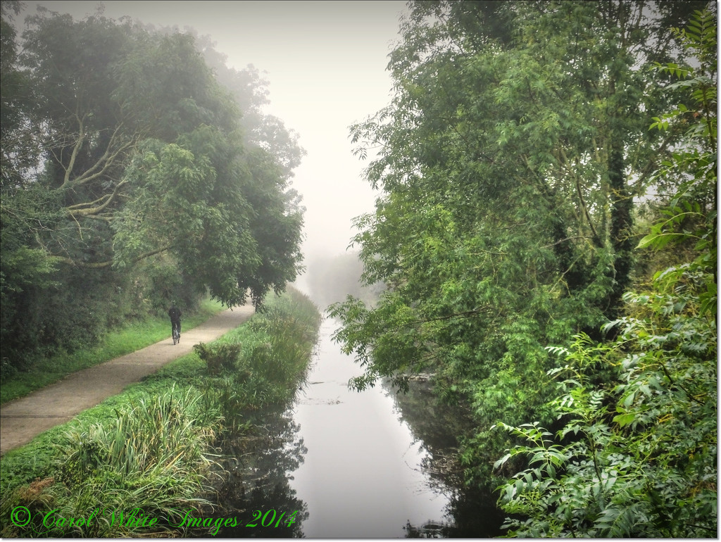 Misty Morning By The Canal by carolmw