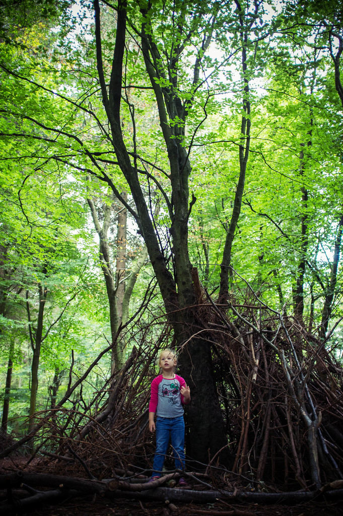 Day 230, Year 2 - (Another) Angell In The Woods by stevecameras