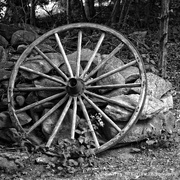 16th Sep 2014 - Wagon wheel