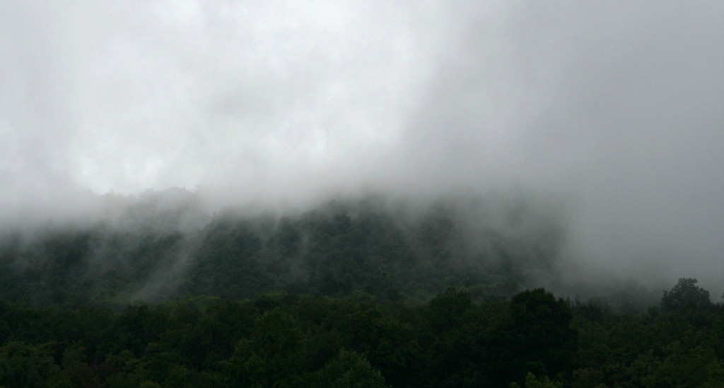 Mist in the Pennsylvania mountains by mittens