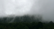 17th Sep 2014 - Mist in the Pennsylvania mountains