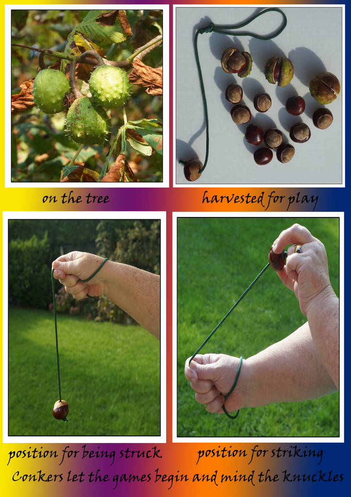 Conker Time by pcoulson