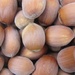 Hazelnuts from the garden. by jokristina