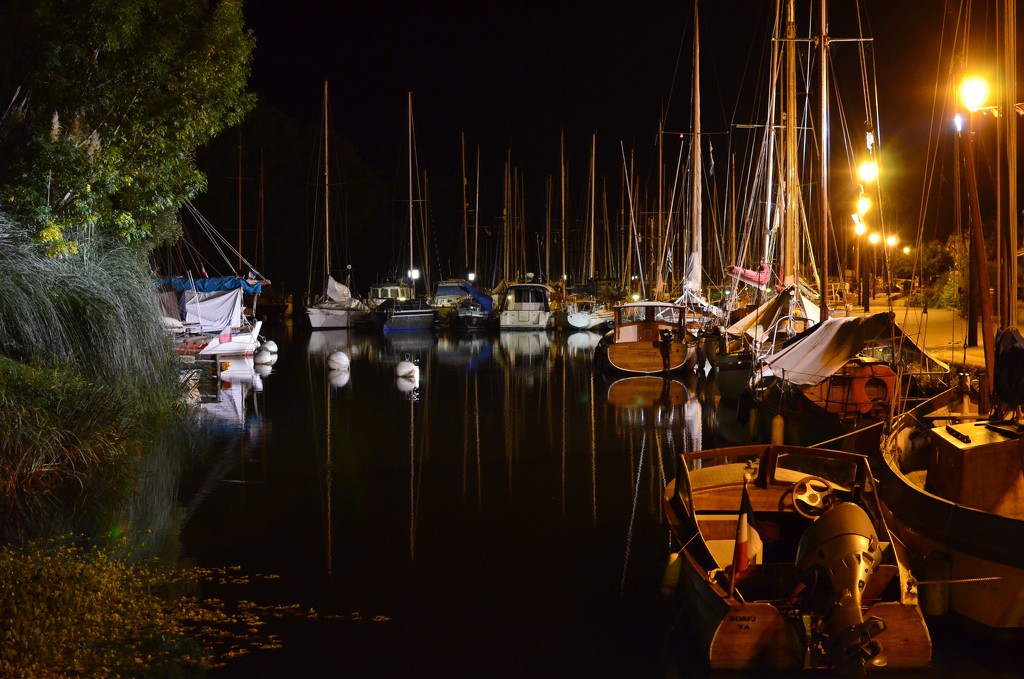 NF-SOOC-September - Day 17:  Inner Harbour by Night by vignouse