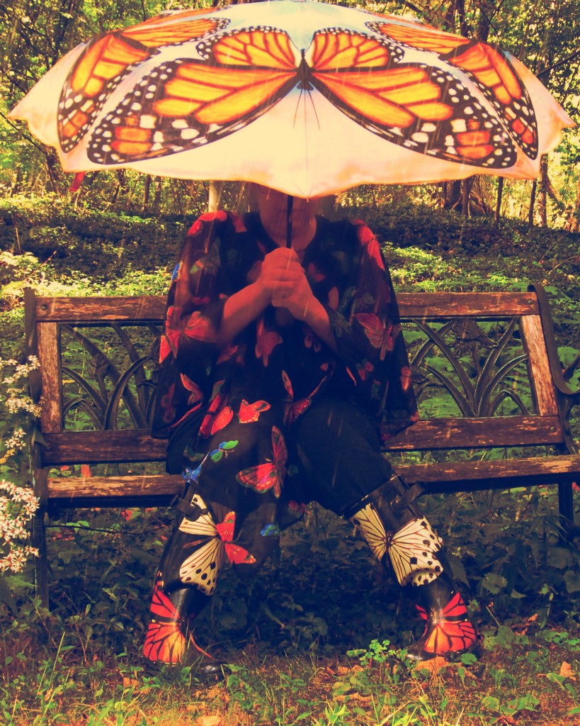 Where do butterflies go when it rains? by mzzhope