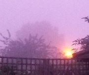 18th Sep 2014 - Misty Autumn Morning