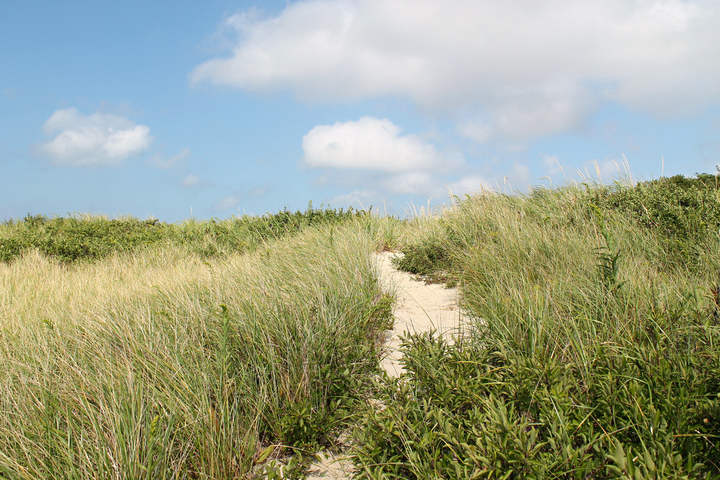 Sand Dunes and Blue Sky by lauriehiggins