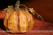 18th Oct 2010 - 291_74 carved pumpkin