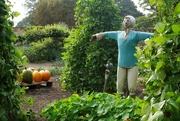 19th Sep 2014 - Lady Scarecrow...