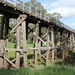 Timboon rail trestle bridge by gilbertwood