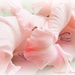 Soft pink frillies by craftymeg