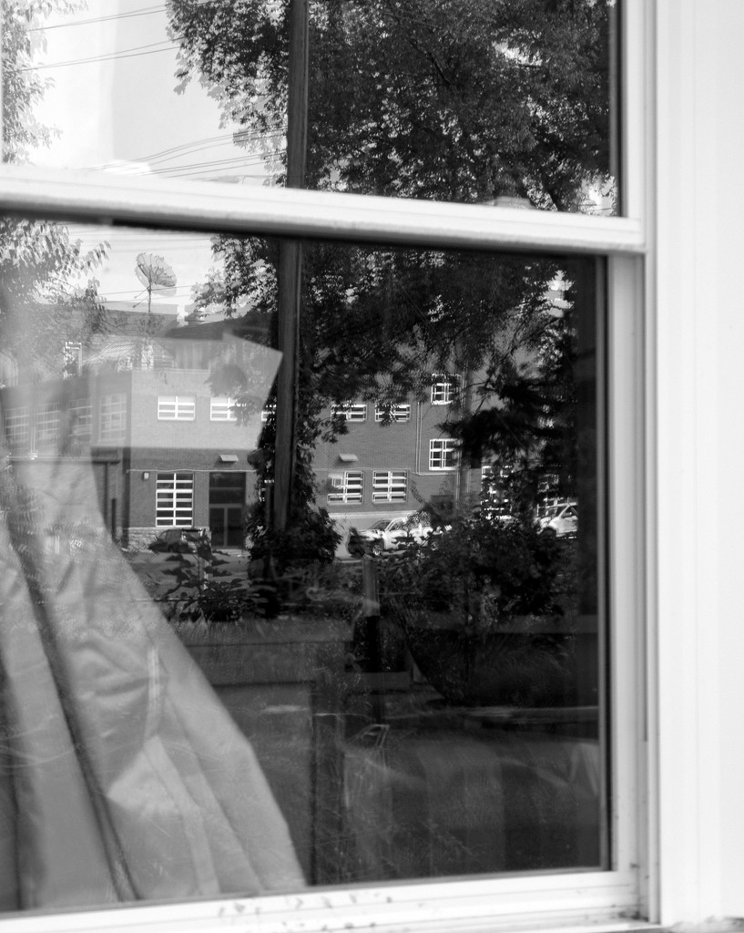 September 19: Reflections in the window by daisymiller