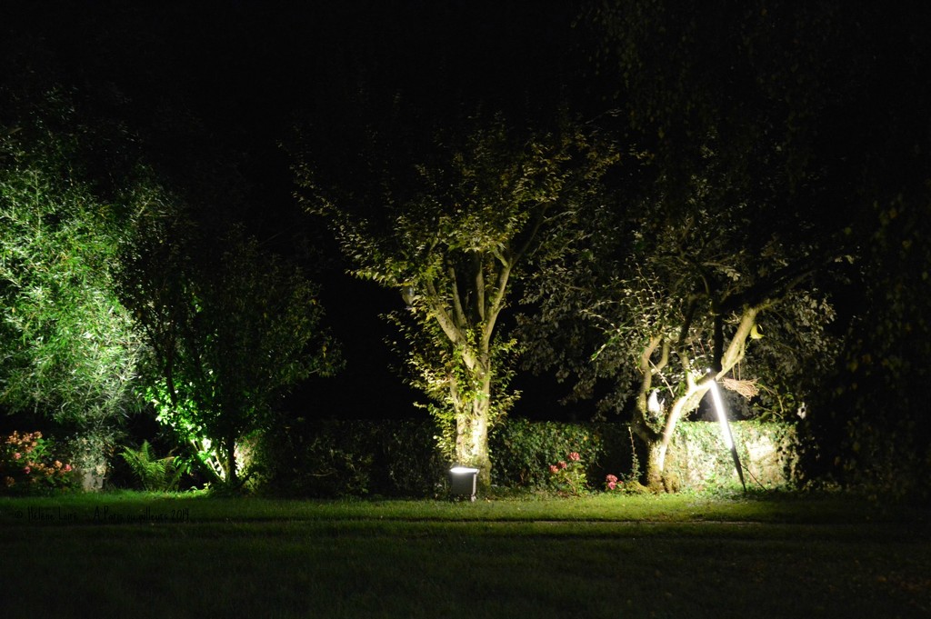 garden lighted  by parisouailleurs