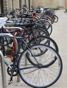 19th Sep 2014 - Bikes, bikes and more bikes