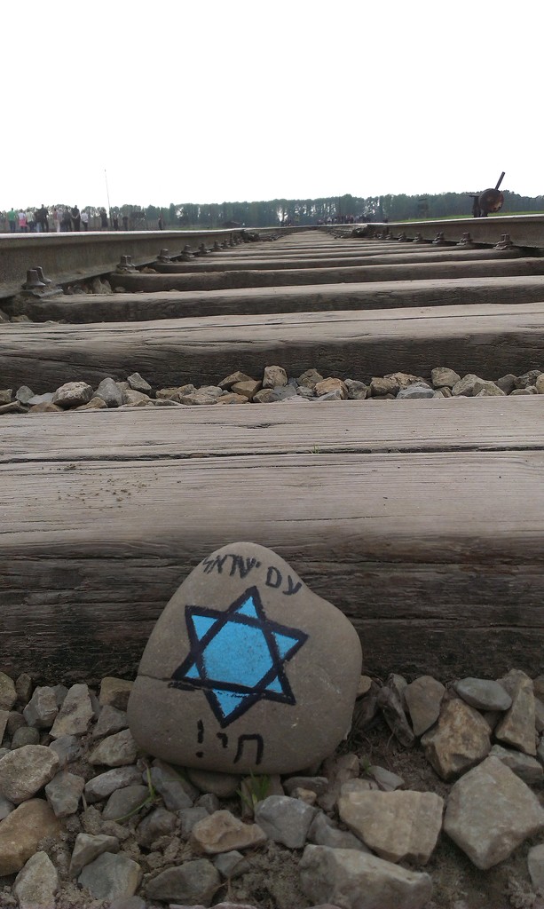 Auschwitz-Birkenau: The road of death. by pavlina