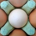 egg box by jokristina