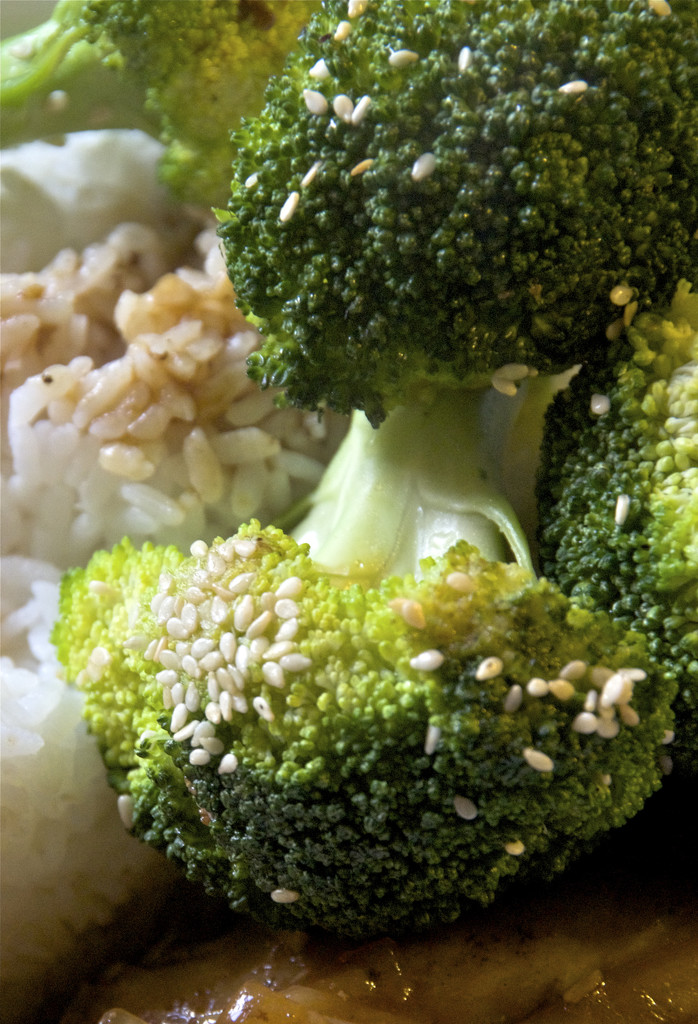 Dinner-Broccoli by houser934