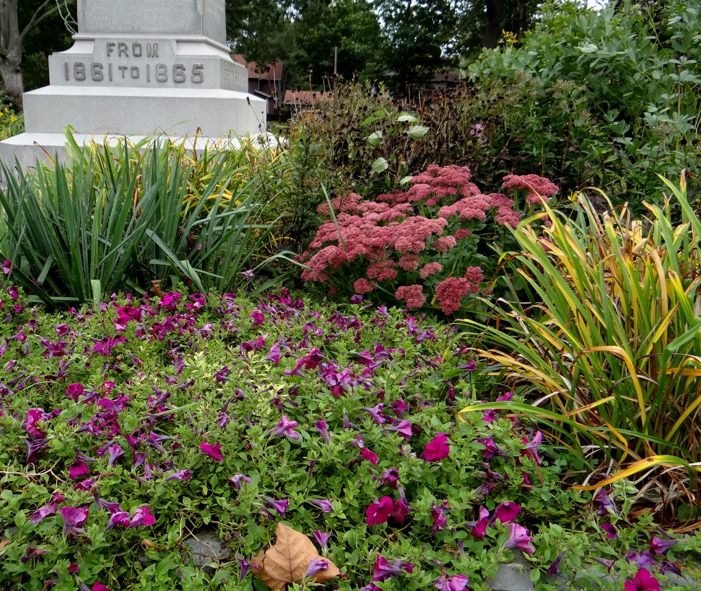 Flowers at the Civil War Memorial, Three Rivers by annepann