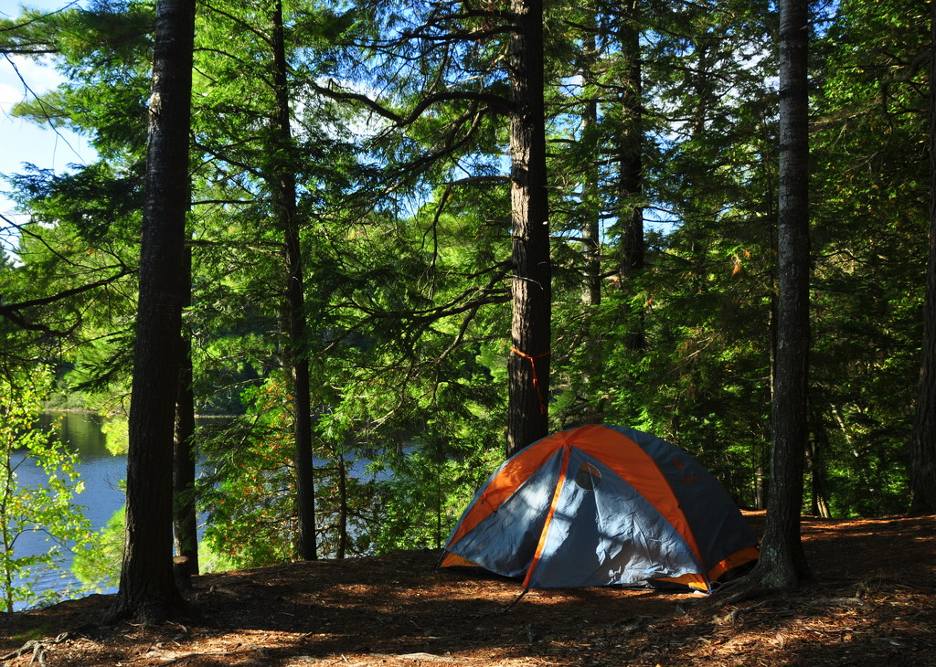 One Man Tent - Algonquin Park #4 by jayberg
