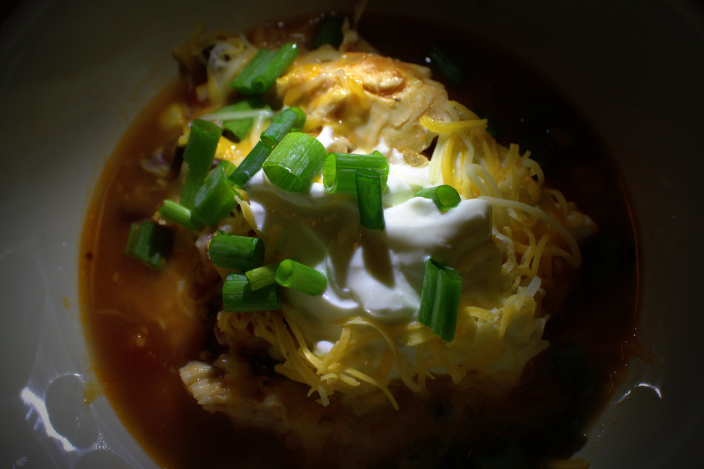 Day 264:  Homemade Chicken Enchilada Soup by sheilalorson