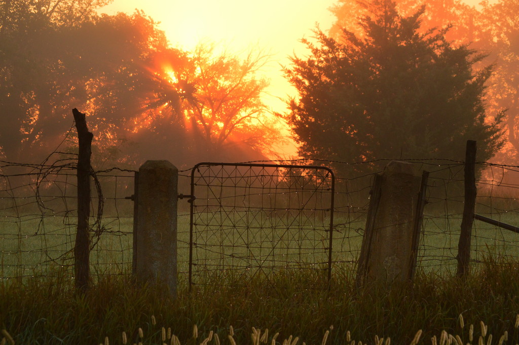 Heaven's Gate by kareenking