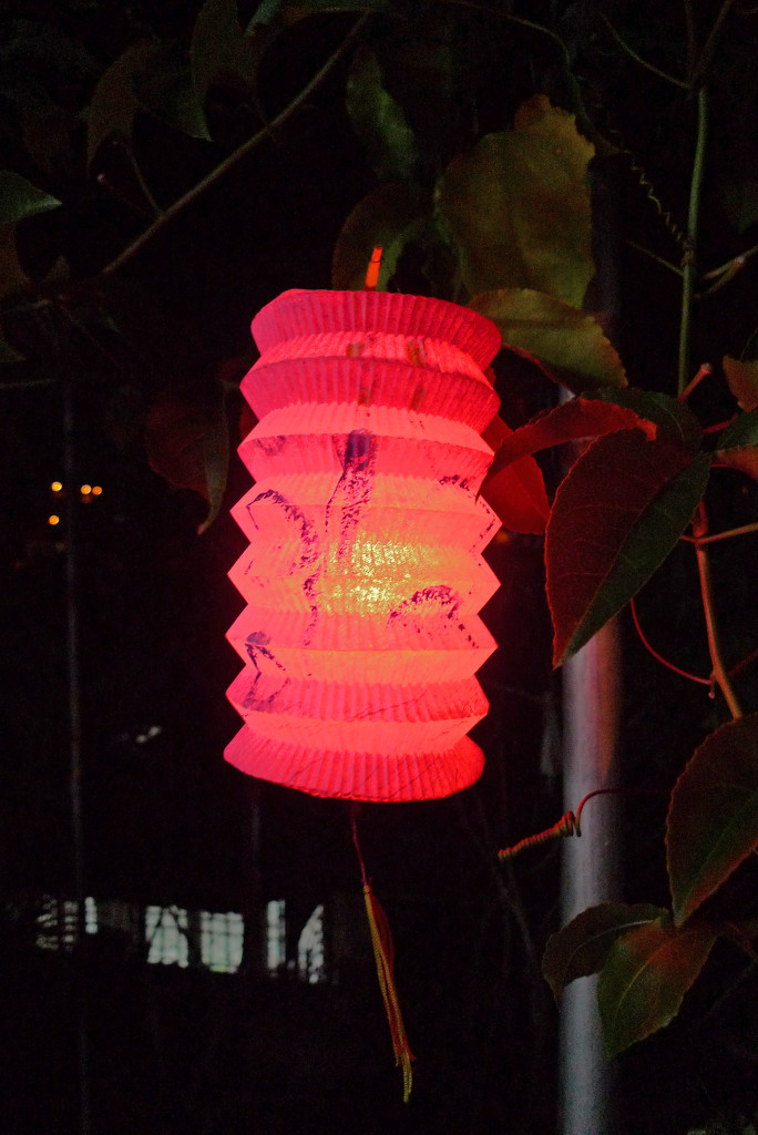 Moon Festival Lantern by ianjb21