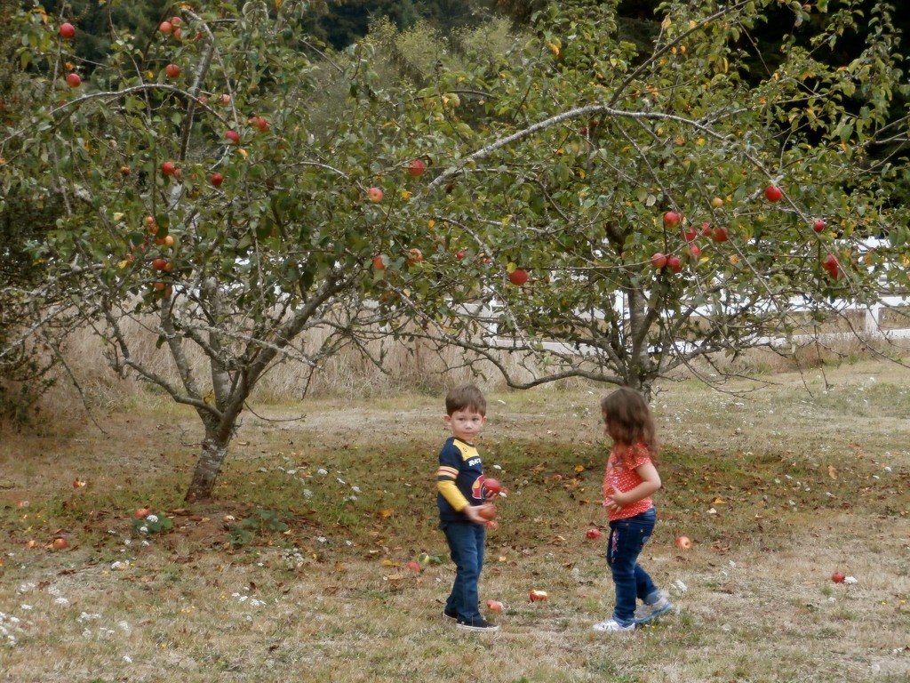 Visiting Grandma's Orchard by pandorasecho