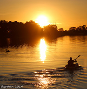 19th Sep 2014 - Kayaking off into the sunset