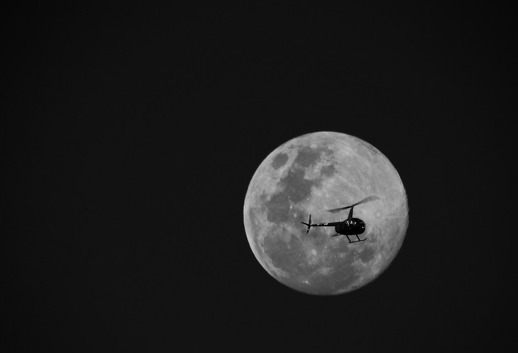 Moonflight by abhijit