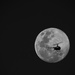 Moonflight by abhijit