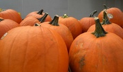 22nd Sep 2014 - Pumpkins for sale