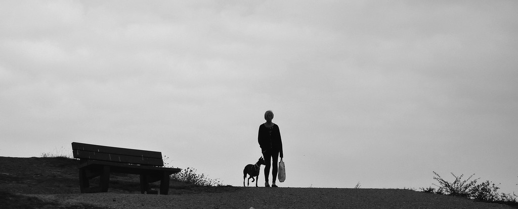 Whippet and Wife by phil_howcroft