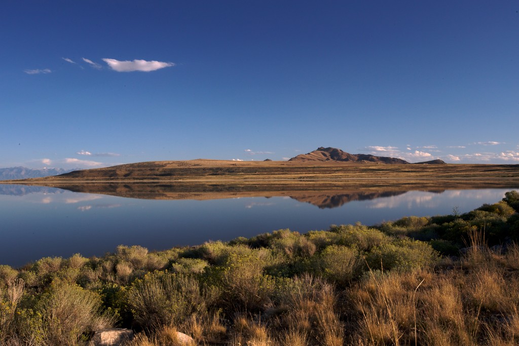 Evening Reflection on The Great Salt Lake by jyokota