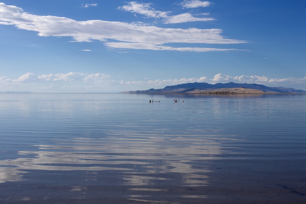 Floating on The Great Salt Lake by jyokota