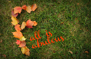 23rd Sep 2014 - Fall is Fabulous
