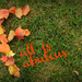 Fall is Fabulous by alophoto