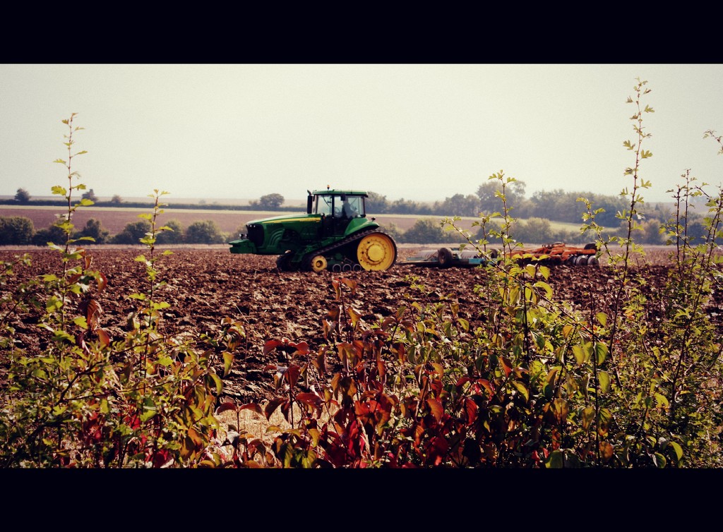 Plough the fields and scatter... by judithg