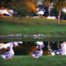 Trio of Ducks by essiesue