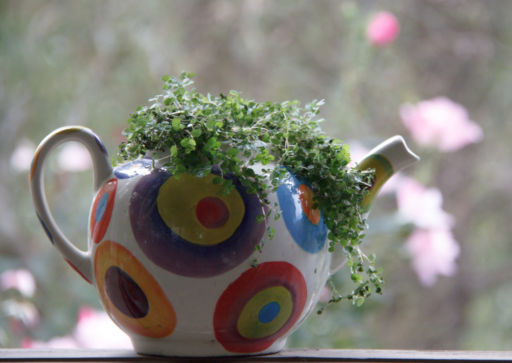 Teapot & roses by randystreat