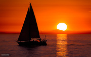 23rd Sep 2014 - Sailboat Sunset