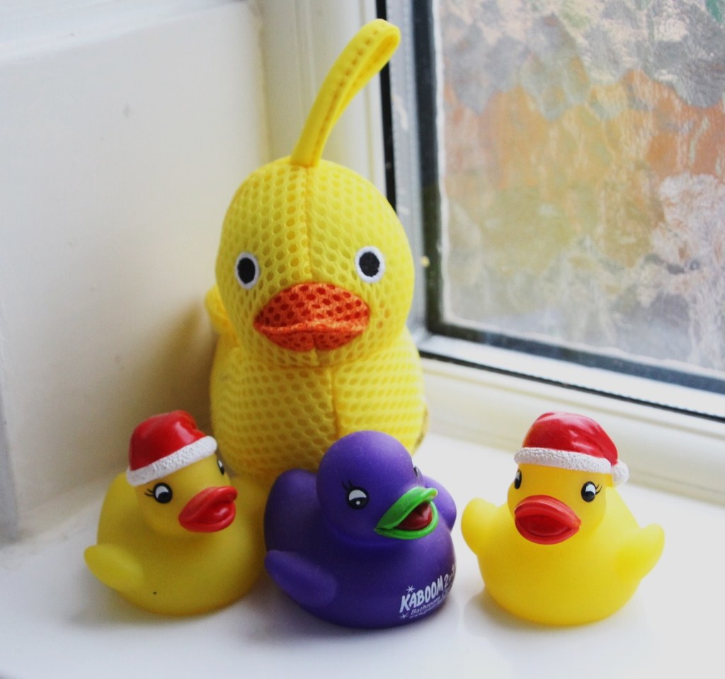 Ducks in the Bathroom by oldjosh