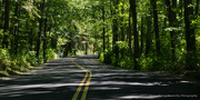 23rd Sep 2014 - Heading down the road