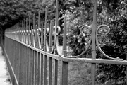 22nd Sep 2014 - Fence 