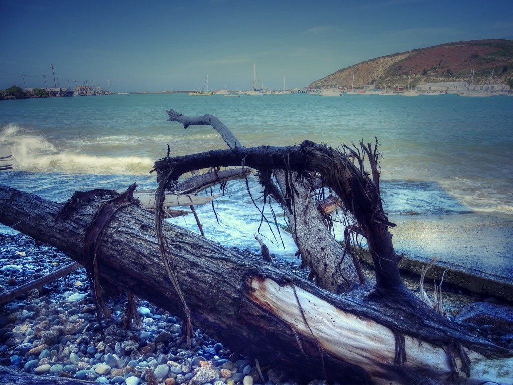 Driftwood by maggiemae