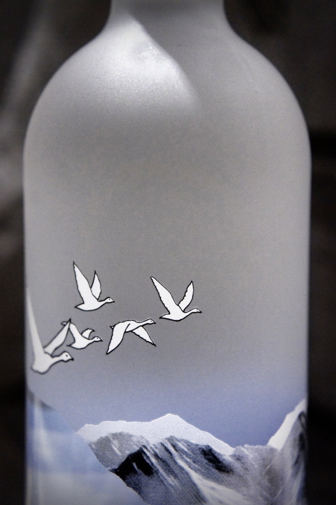 Grey goose by boxplayer