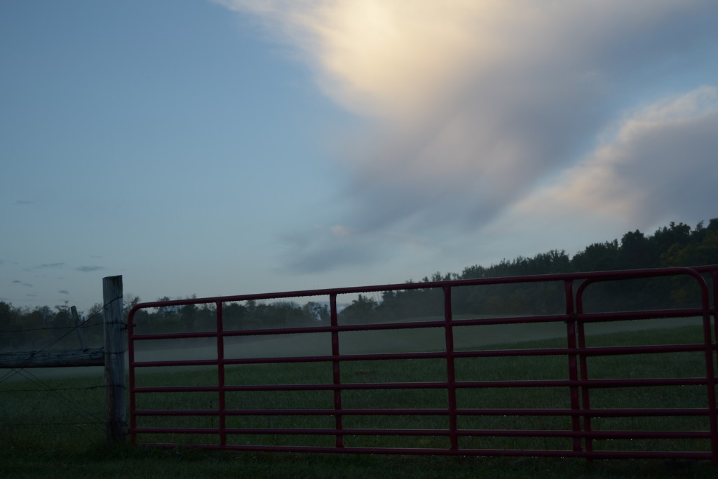 cloud beyond gate by francoise