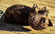 24th Sep 2014 - (Day 223) - Carved Hippo